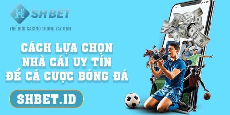 Cách lựa chọn nhà cái uy tín để cá cược bóng đá 2023 3 Cách lựa chọn nhà cái uy tín để cá cược bóng đá 2023